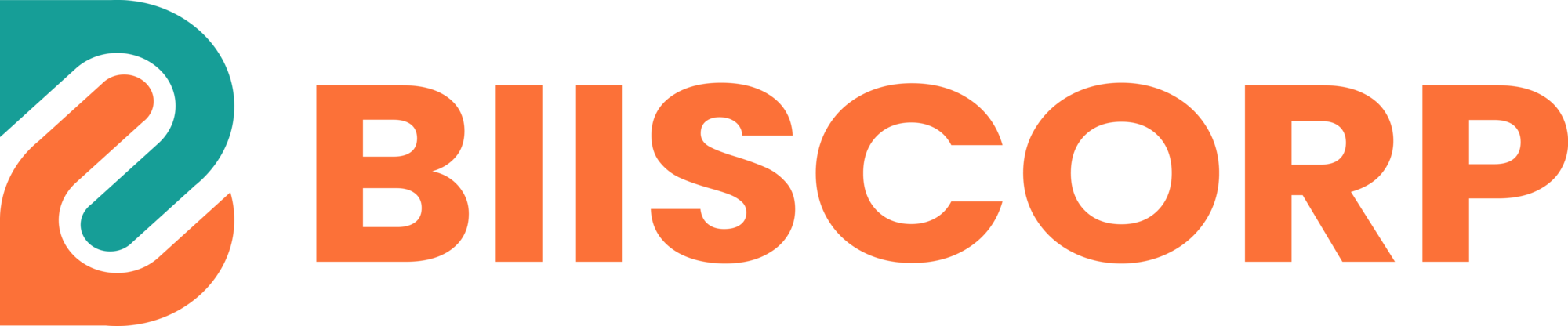 BIIS Corp, Jasa pembuatan software, aplikasi, dan website